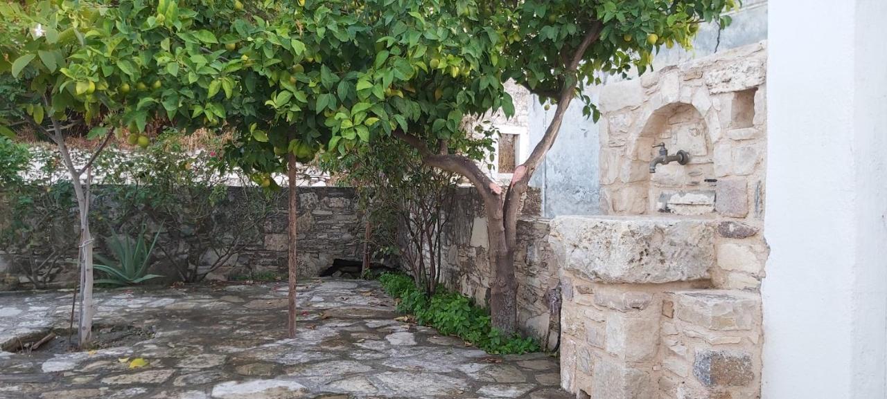 Traditional House In Asfendiou Agios Dimitrios  Exterior photo